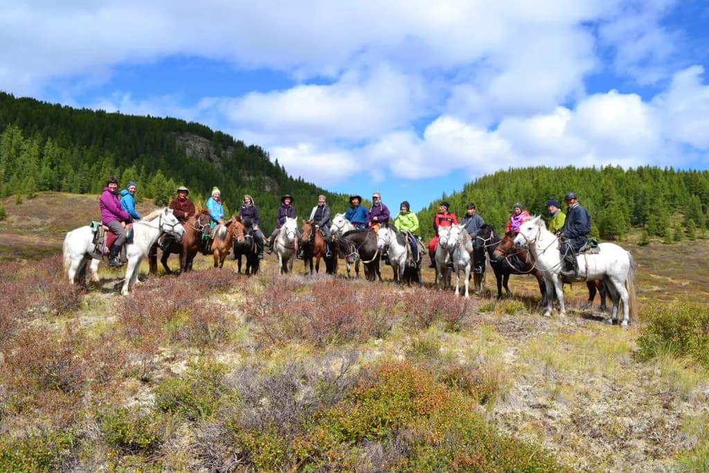 Tour memories - nomadic hospitality