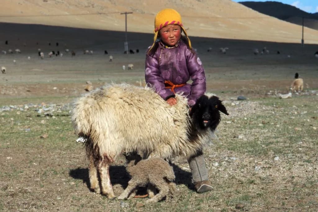 Tour memories - steppe panorama