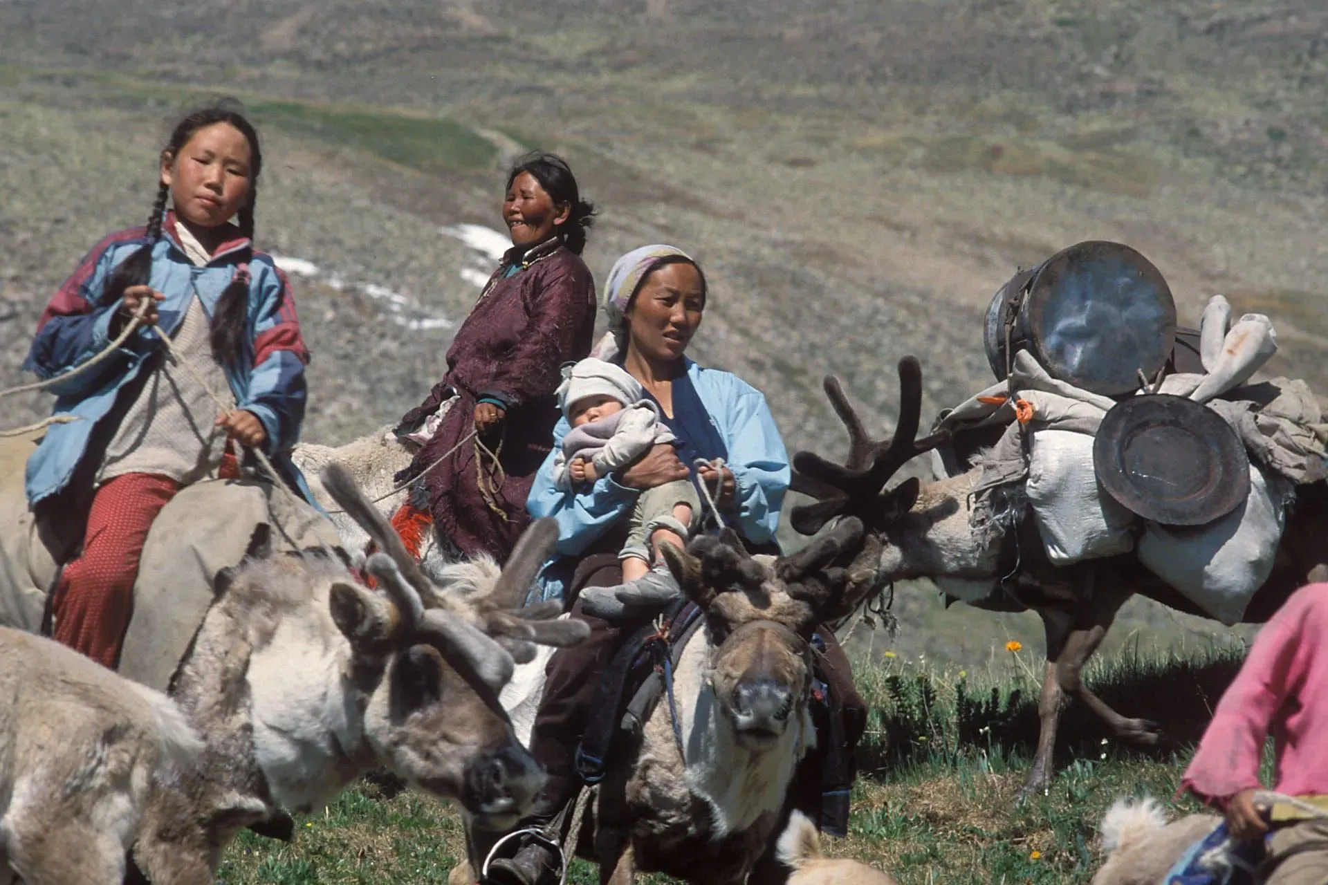 Mongolian horseman