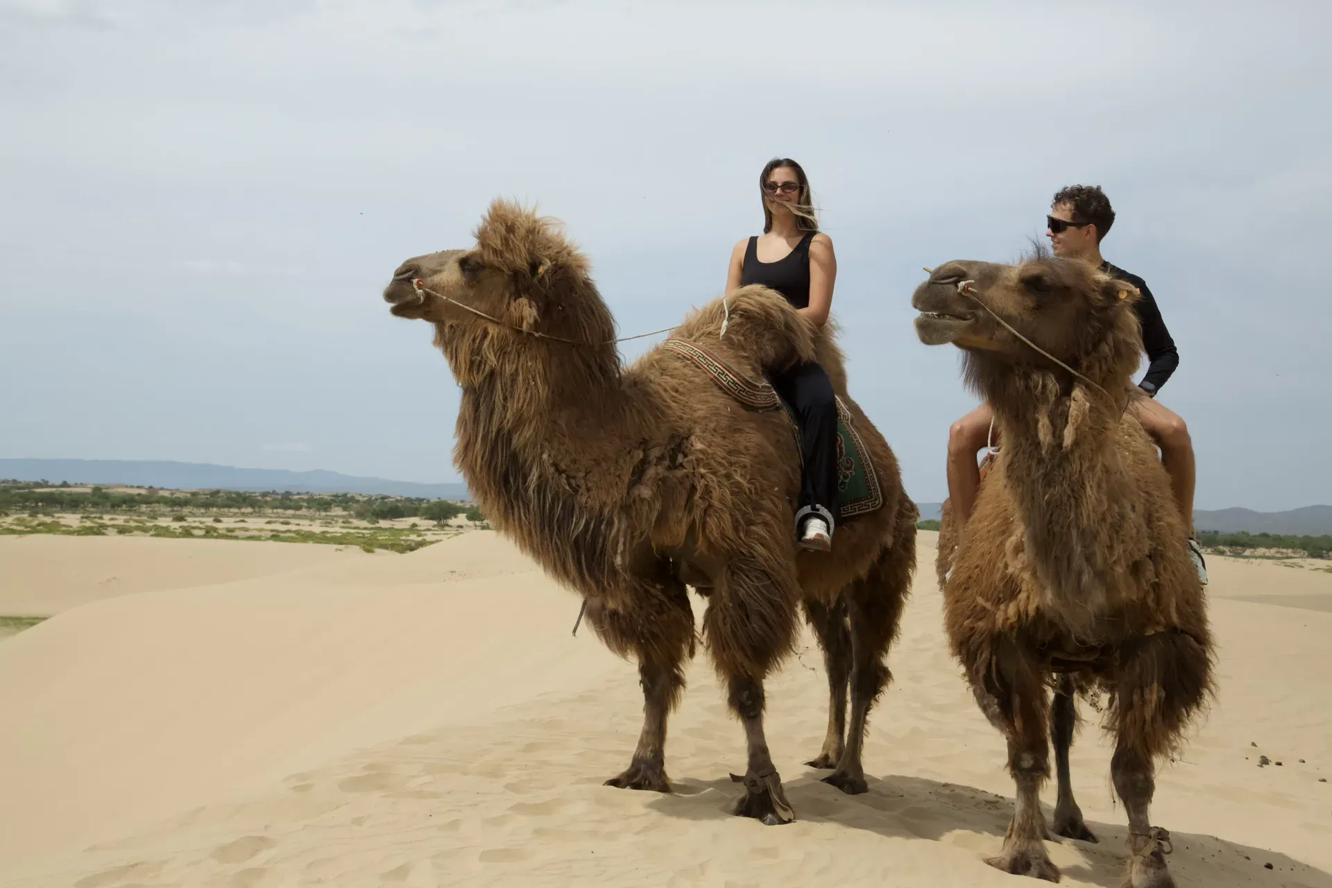 Tourists riding camels on sand dunes
