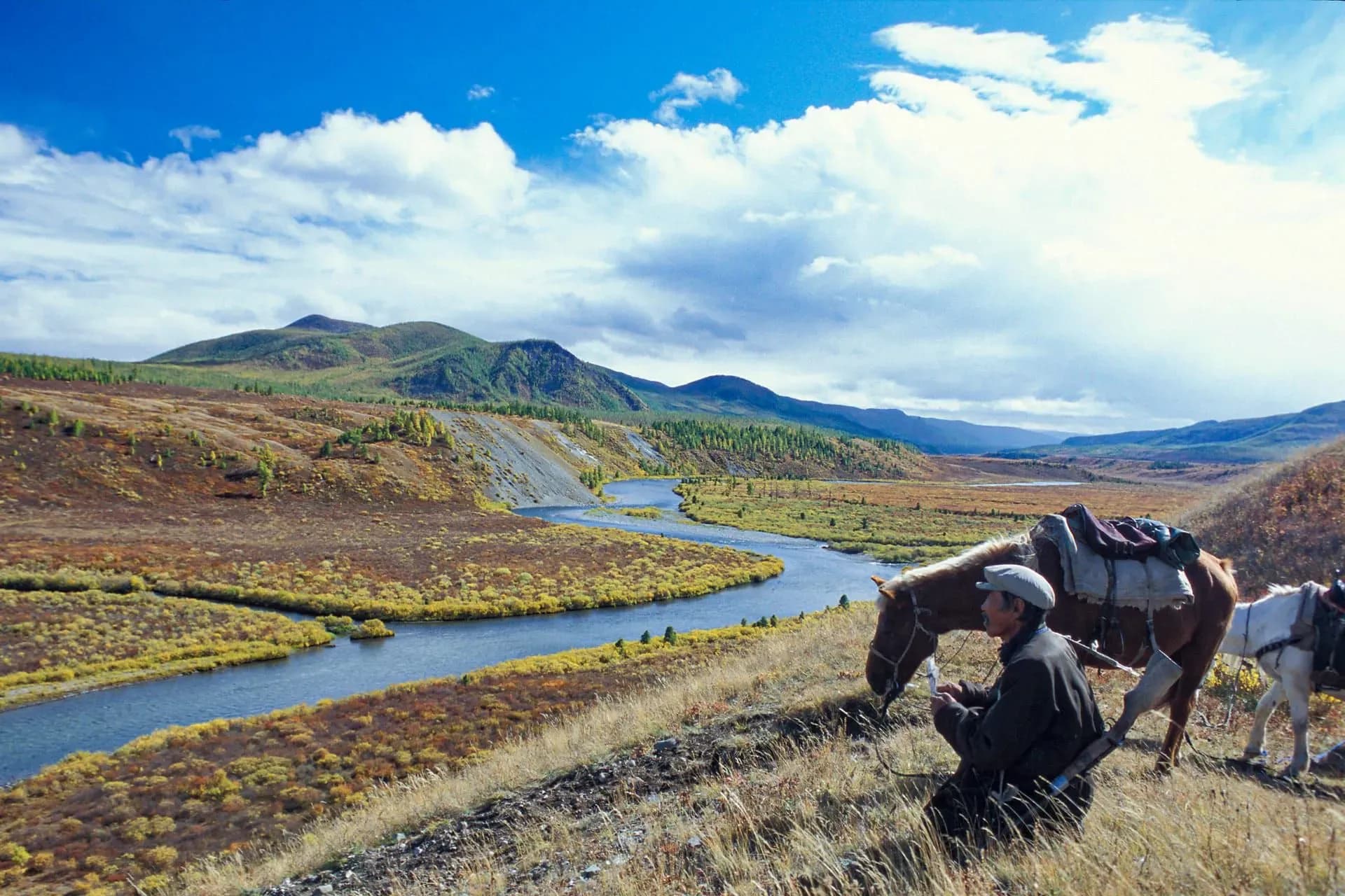 Mongolian horseman on the steppe