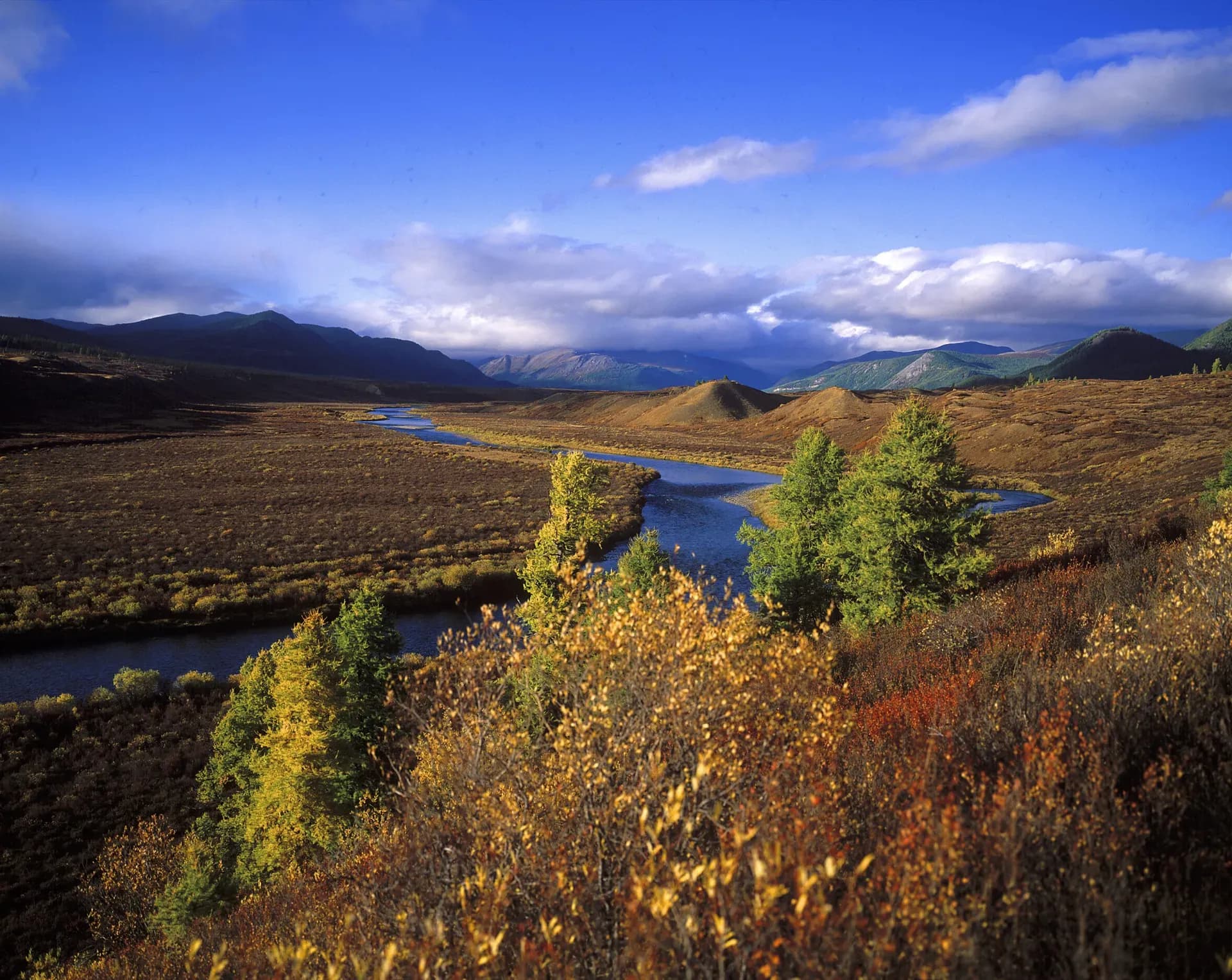 Autumn river valley with colorful foliage