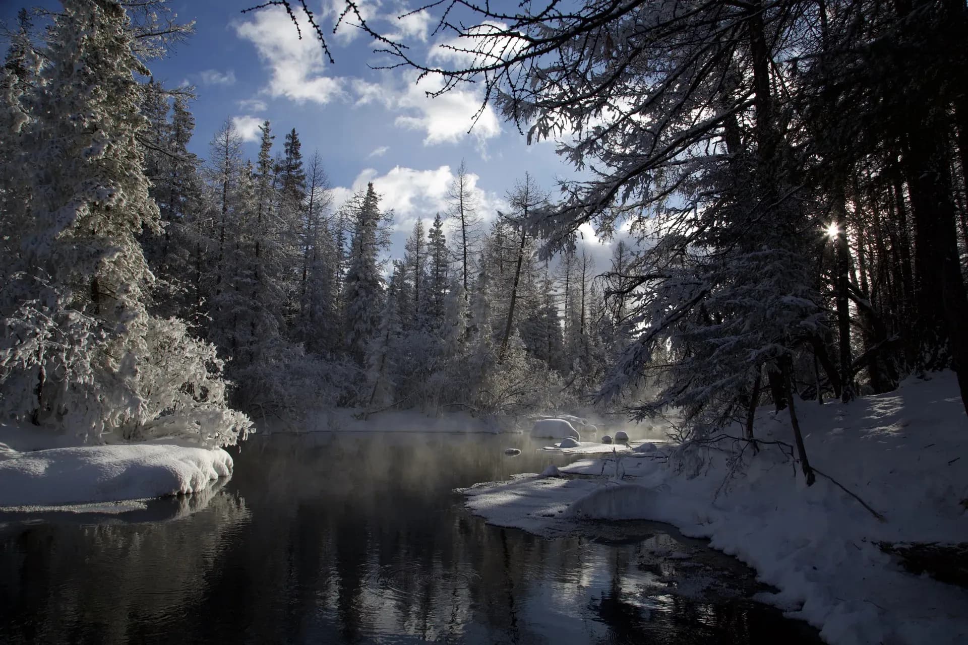 Winter creek through snowy forest