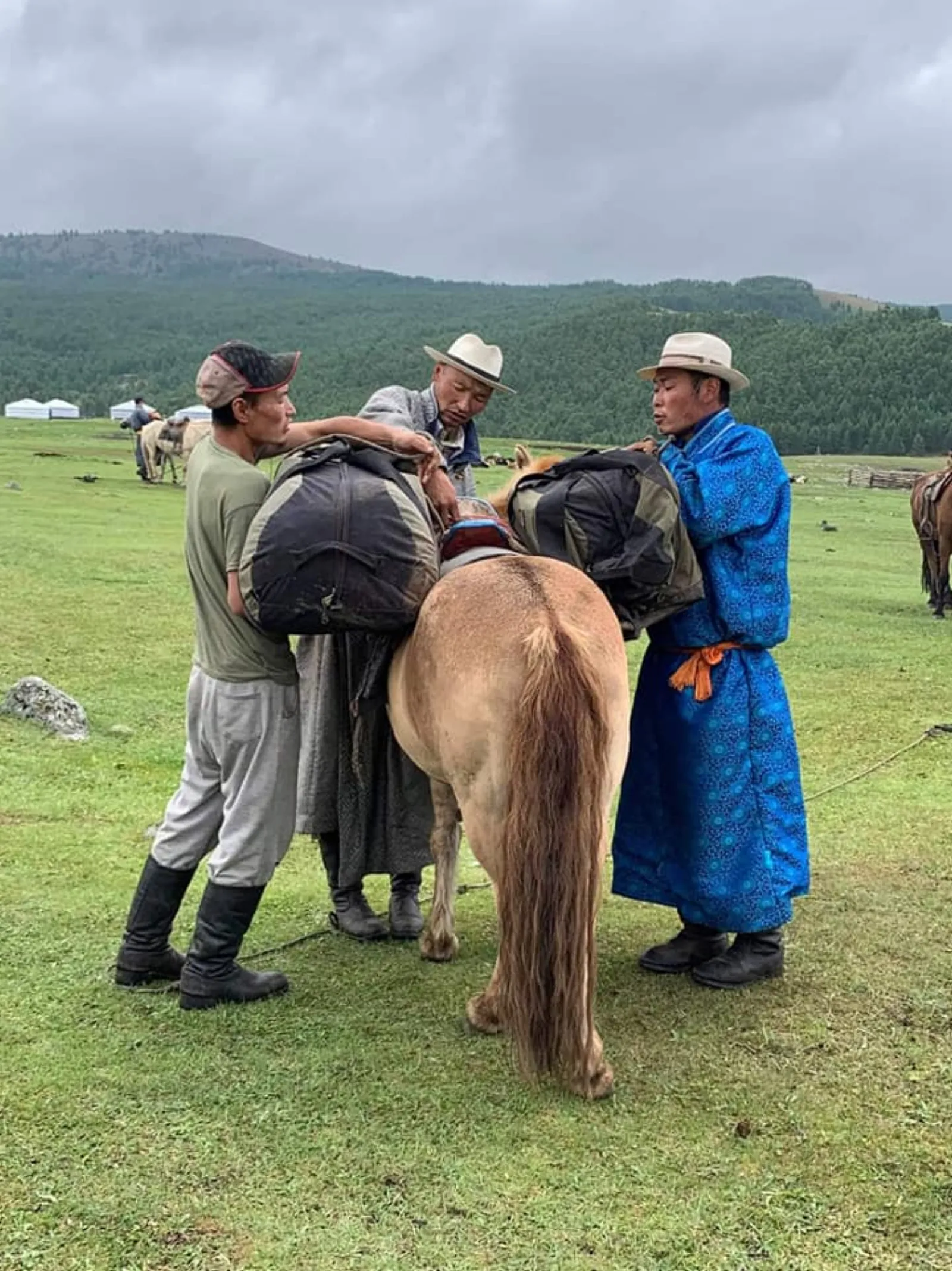 Central Mongolia - Steppe and history 4