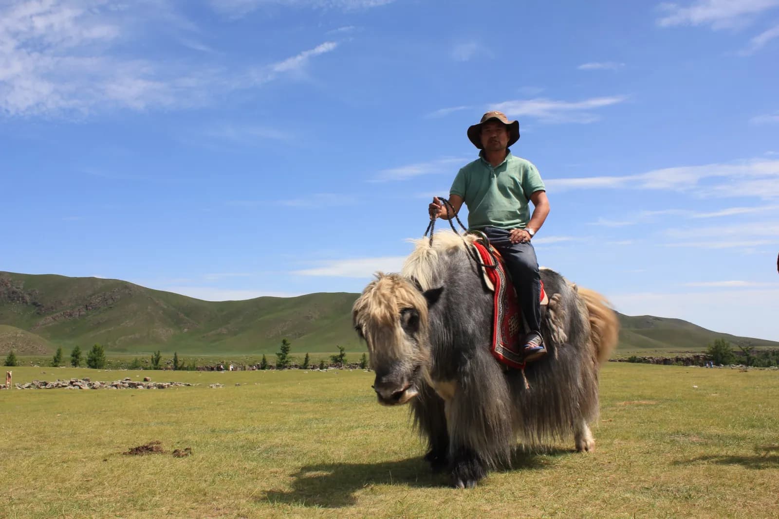 Central Mongolia - Steppe and history 13