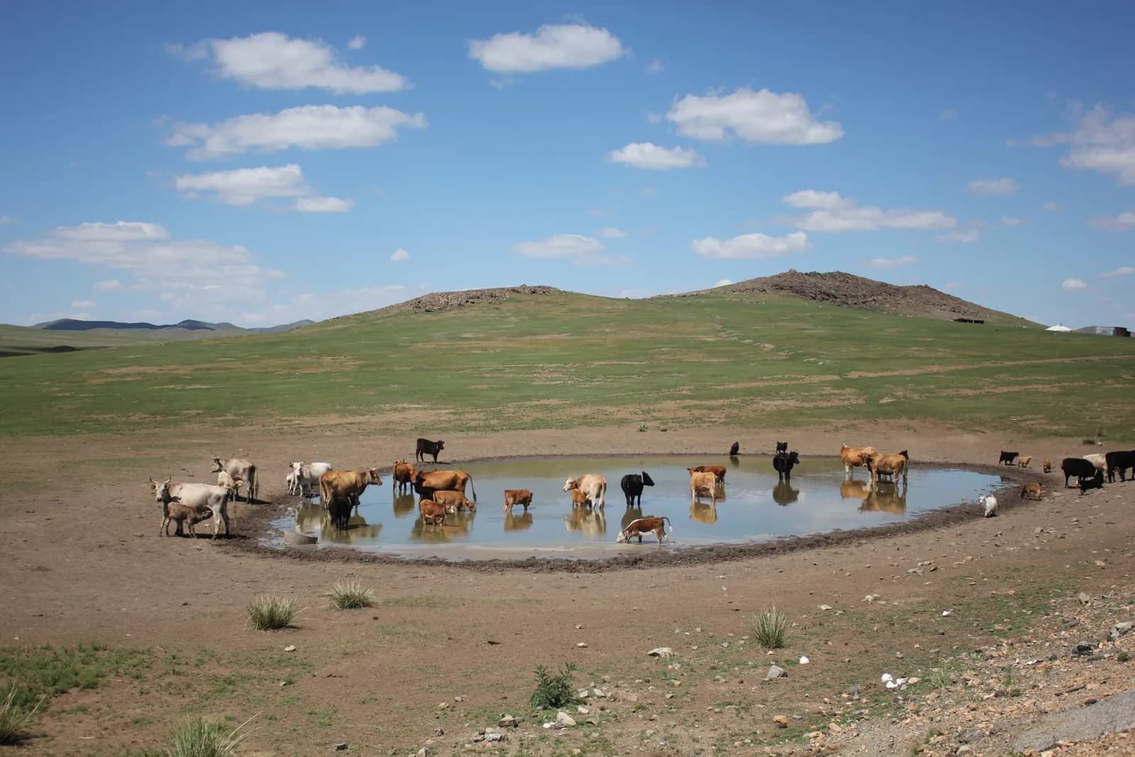 Central Mongolia - Steppe and history 14