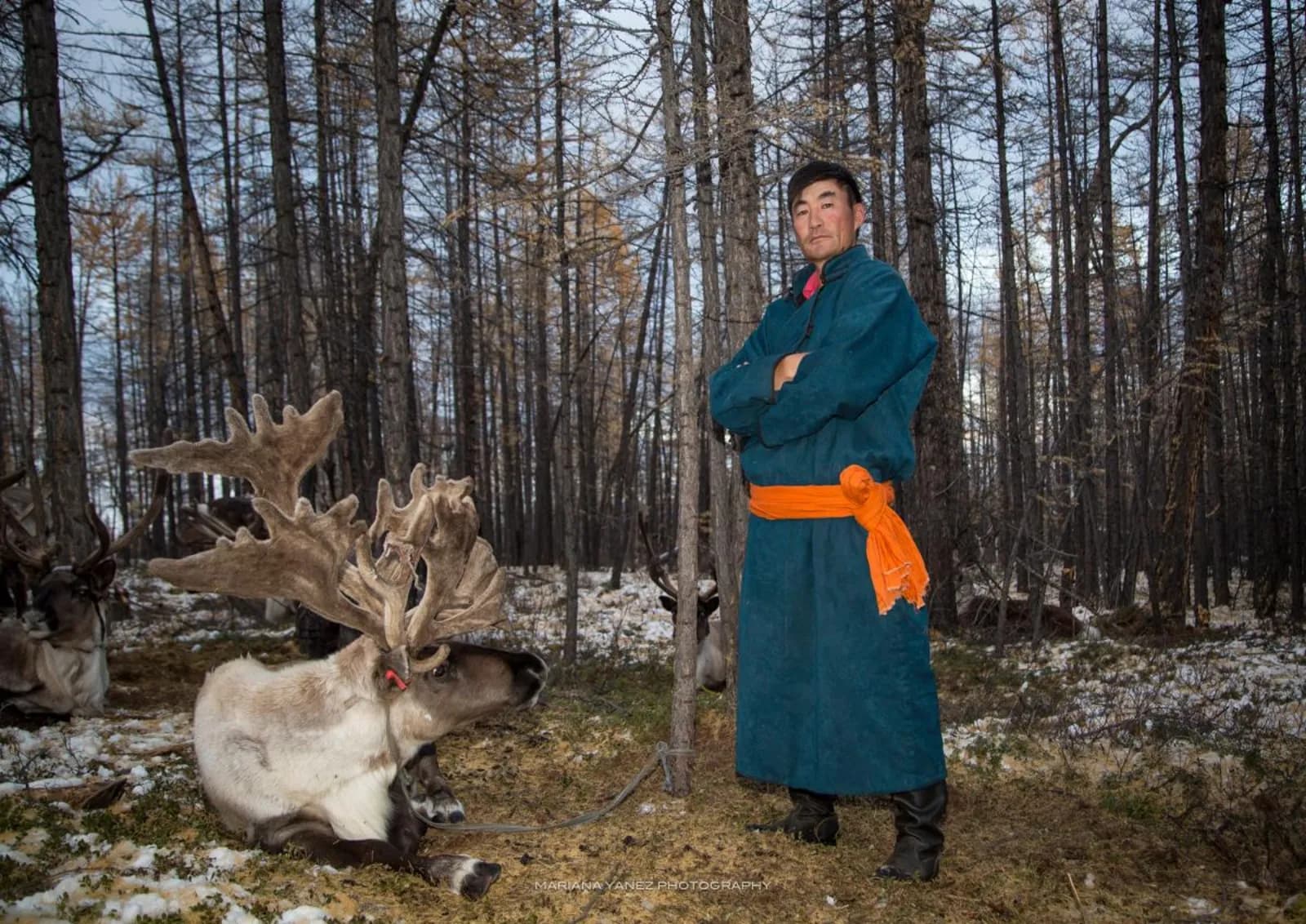 North Loop - Reindeer herders of the taiga 2