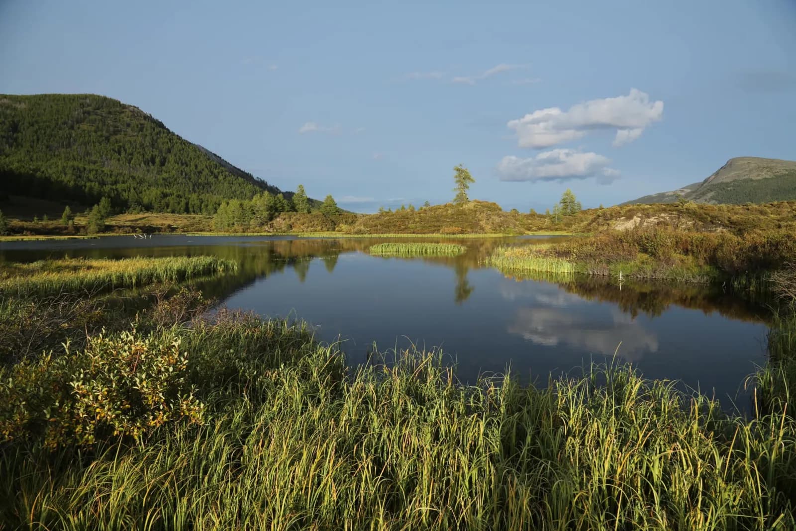 North Loop - Reindeer herders of the taiga 4