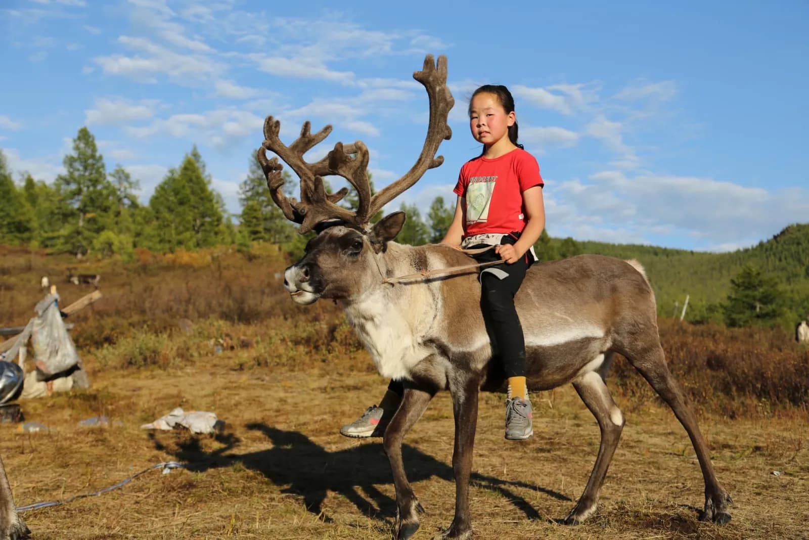 North Loop - Reindeer herders of the taiga 8