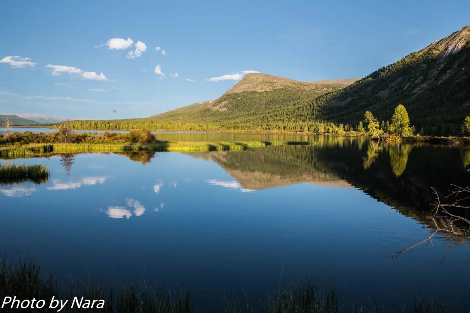 North Loop - Reindeer herders of the taiga 15
