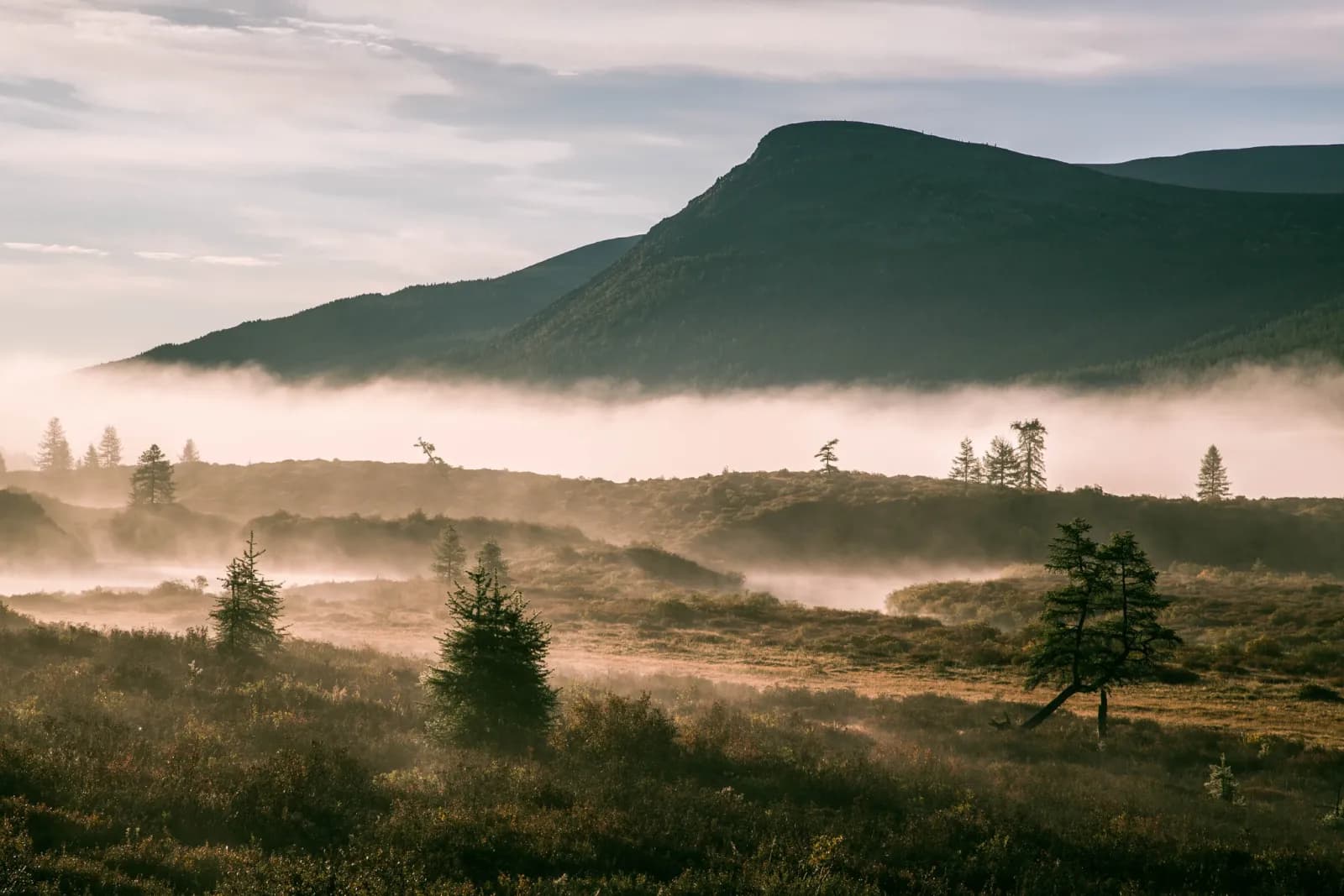 North Loop - Reindeer herders of the taiga 17