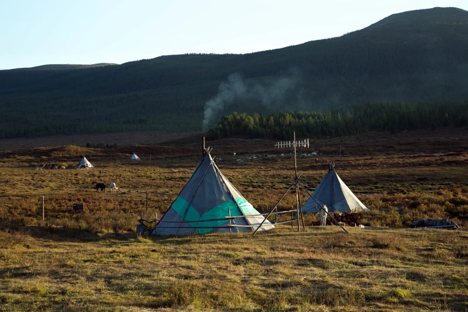 North Loop - Reindeer herders of the taiga 18