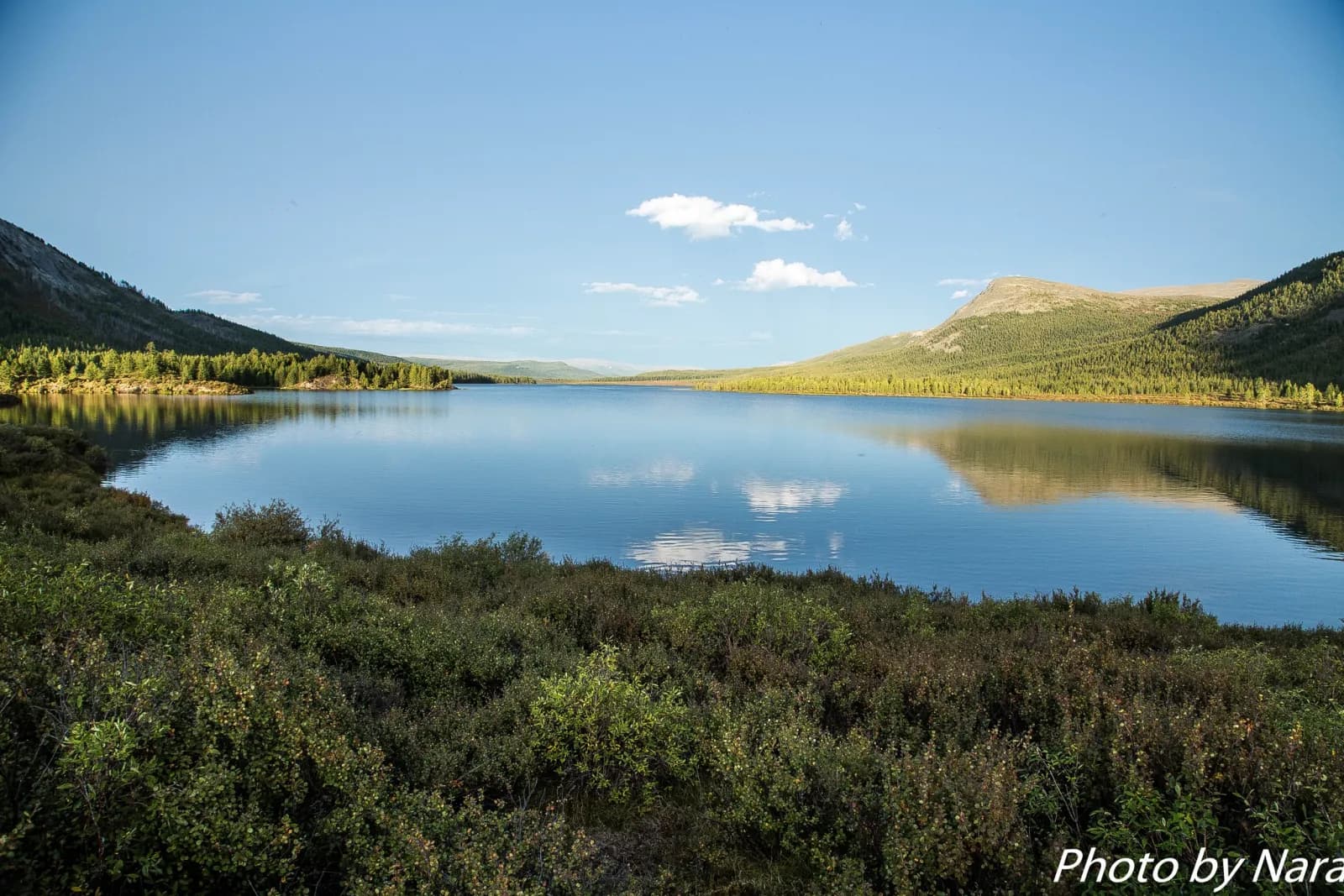 North Loop - Reindeer herders of the taiga 20