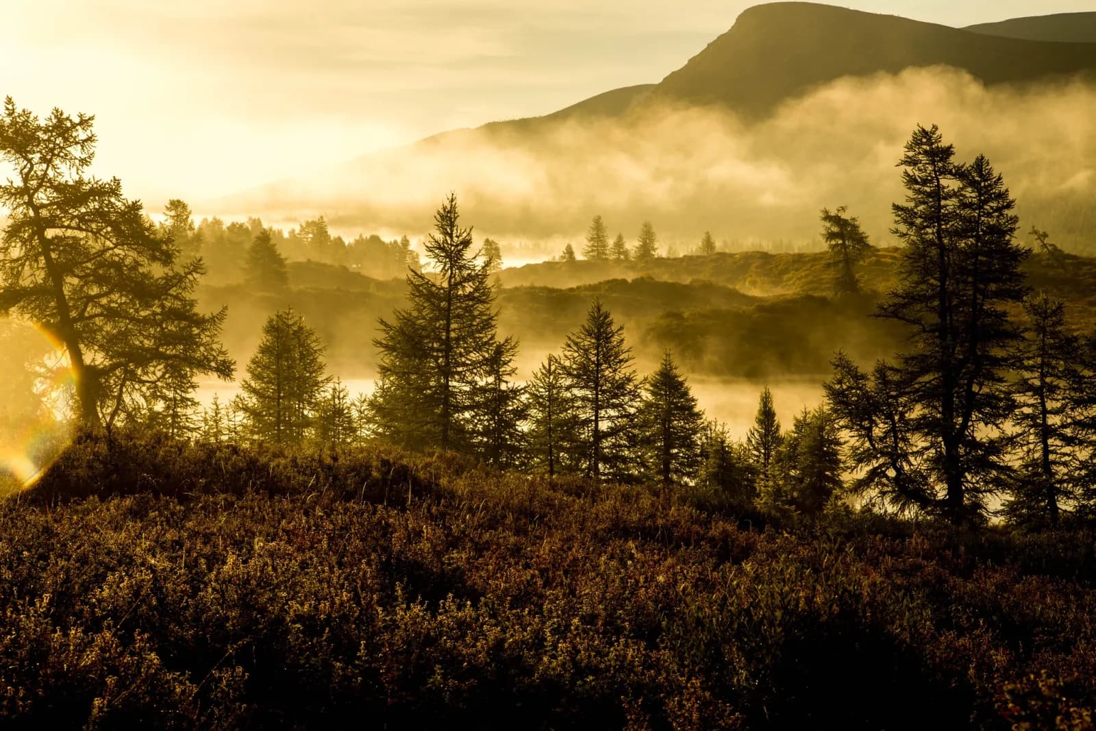 North Loop - Reindeer herders of the taiga 26