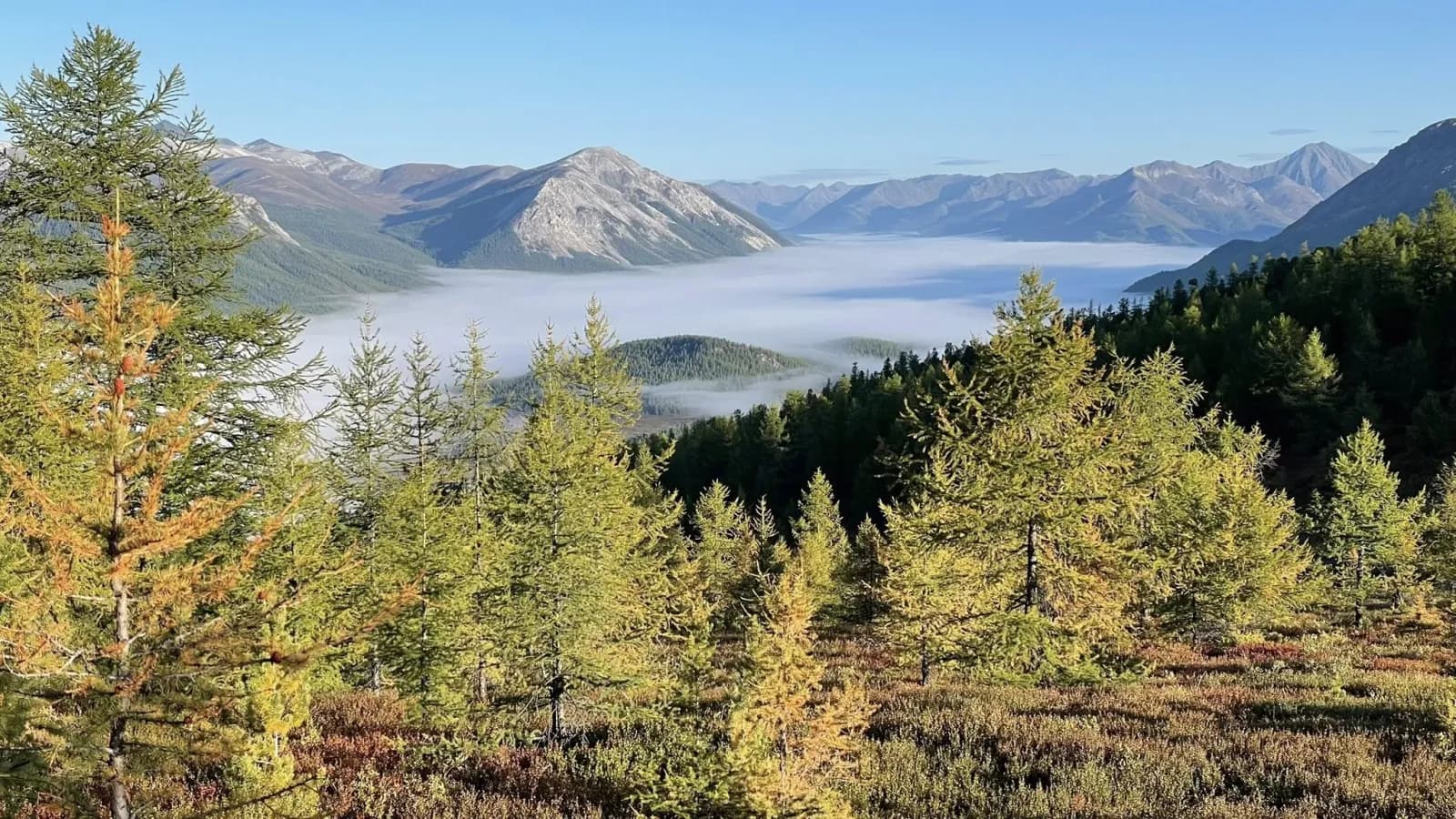 North Loop - Reindeer herders of the taiga 32