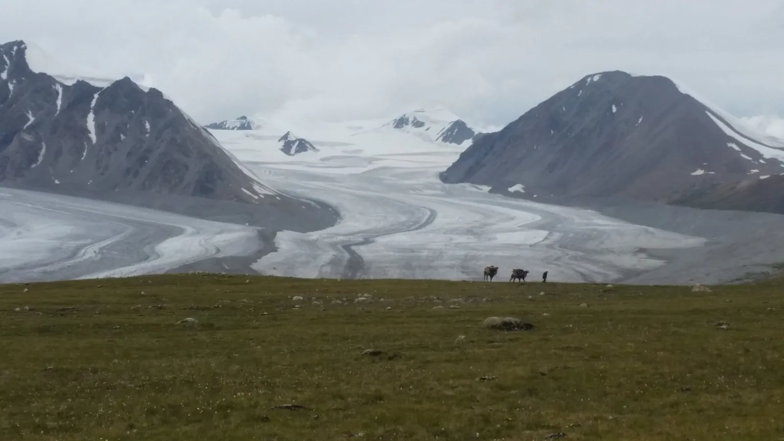 West Loop - Eagle hunters of Western Mongolia 12