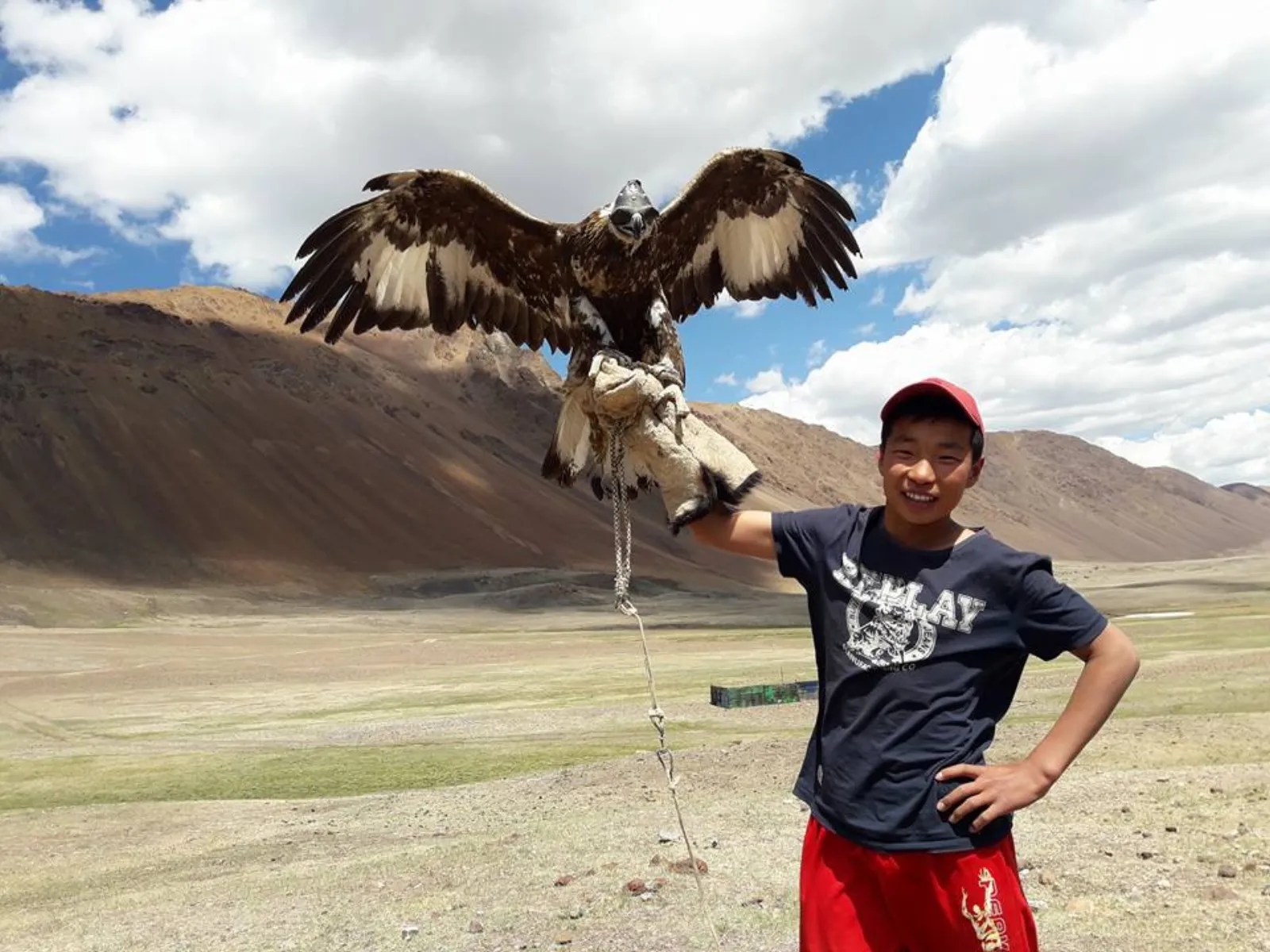 West Loop - Eagle hunters of Western Mongolia 16
