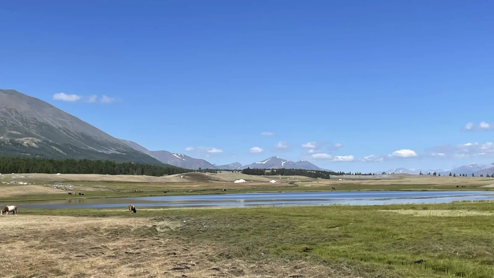 West Loop - Eagle hunters of Western Mongolia 27