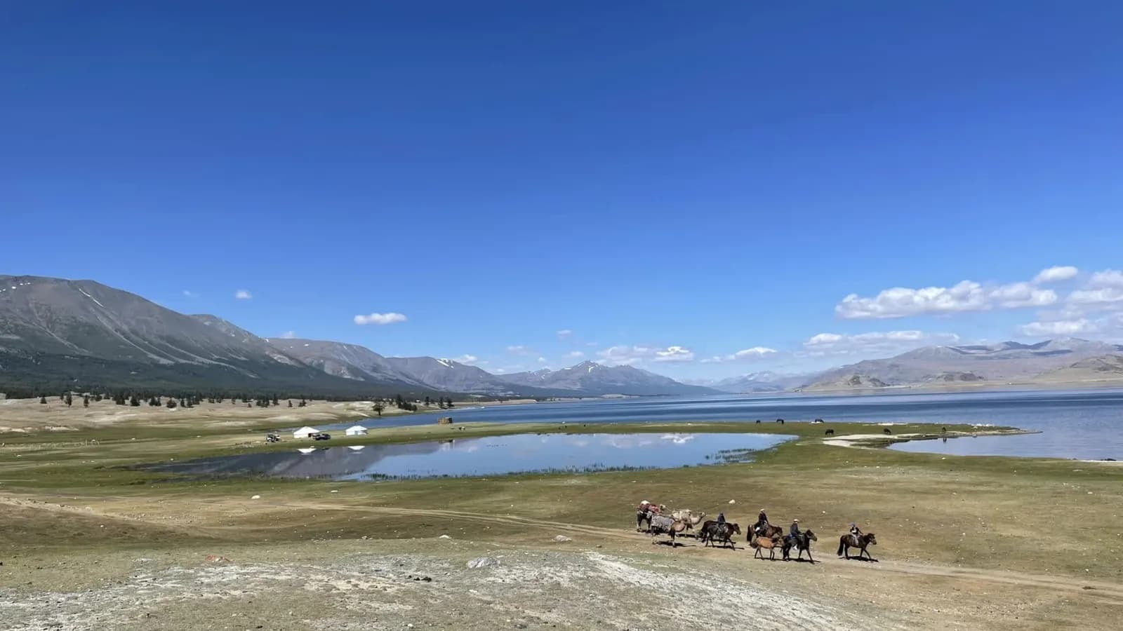 West Loop - Eagle hunters of Western Mongolia 28