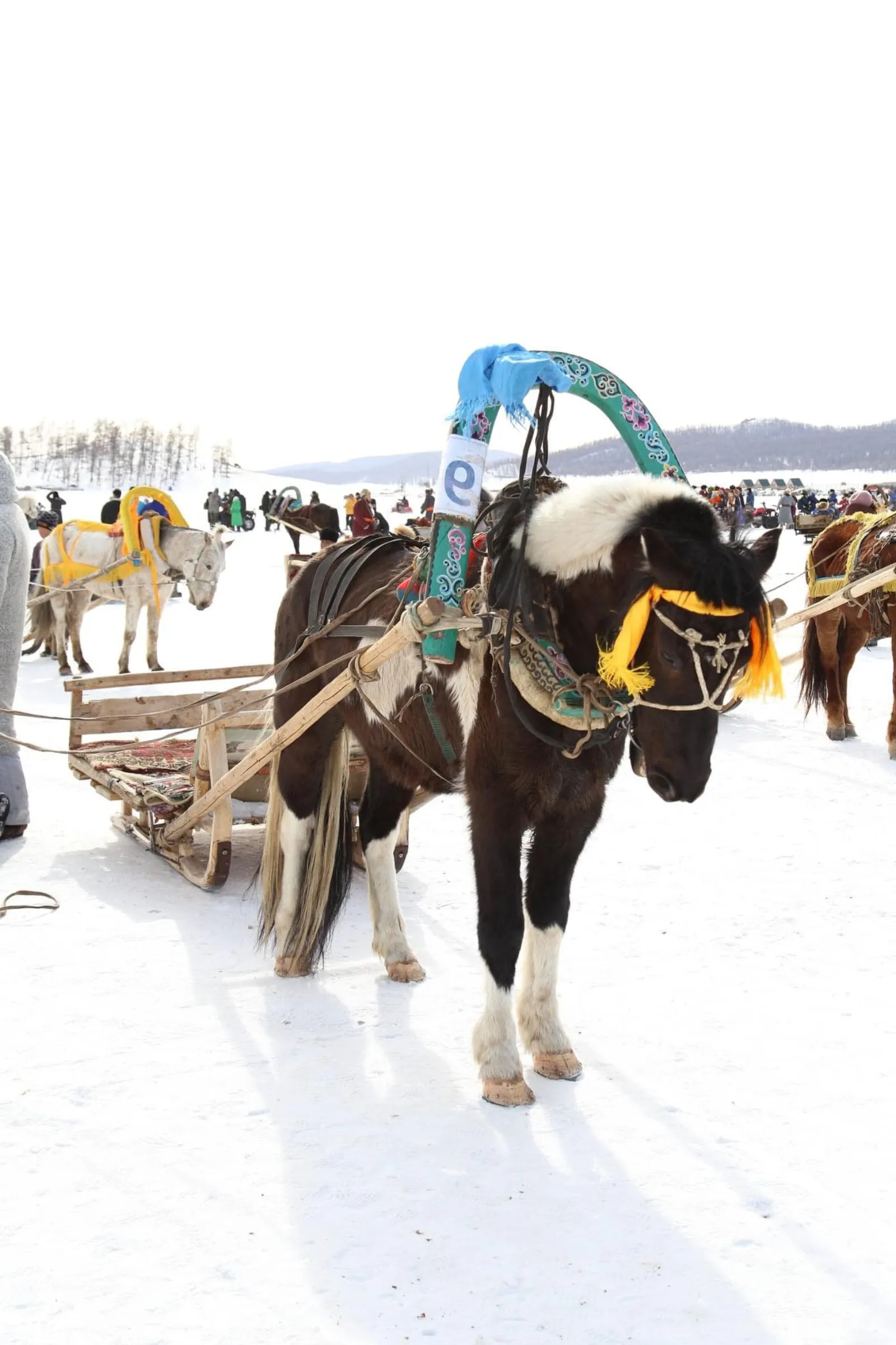 Winter Tour - Frozen Mongolia 5