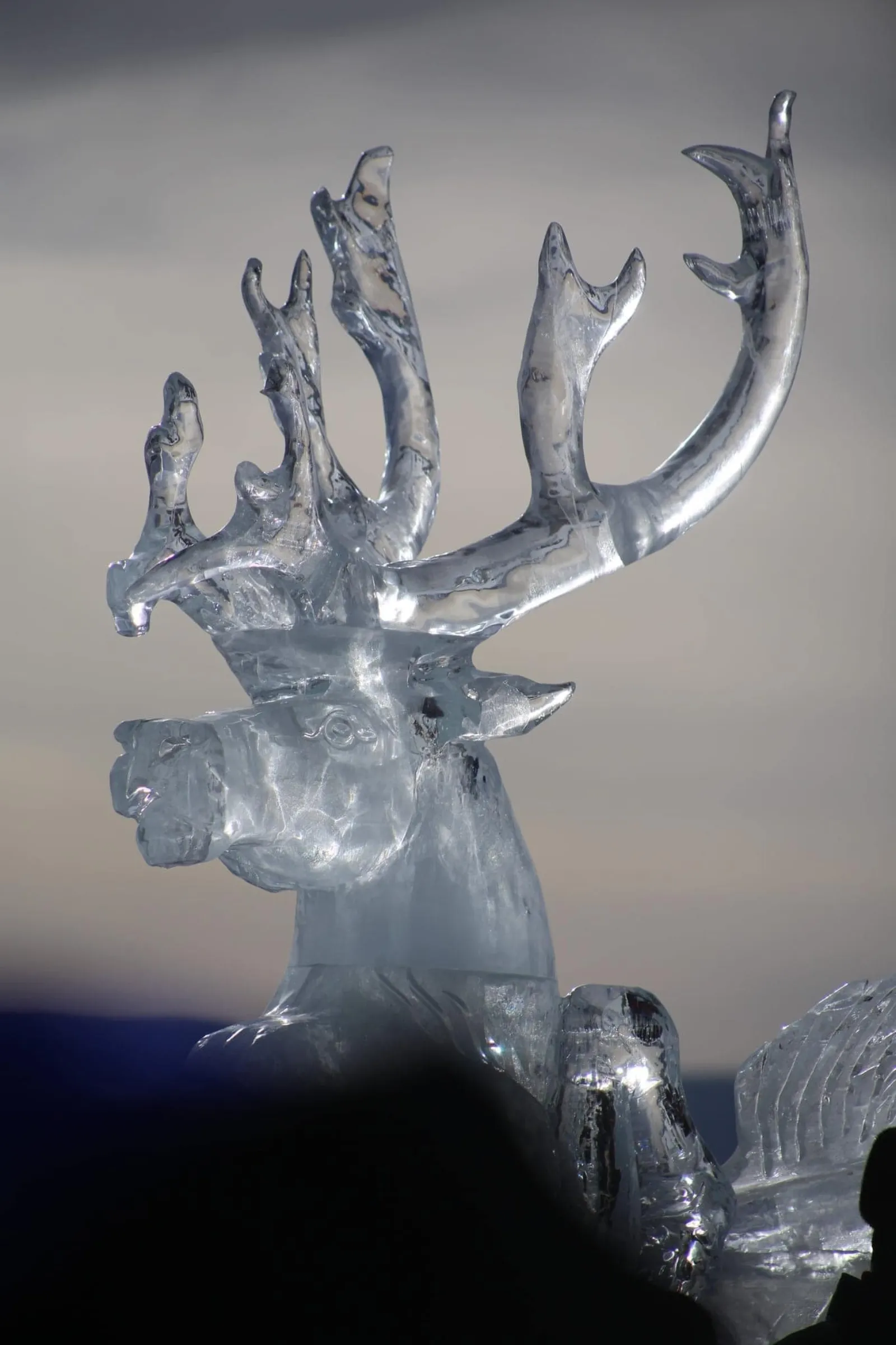 Winter Tour - Frozen Mongolia 6