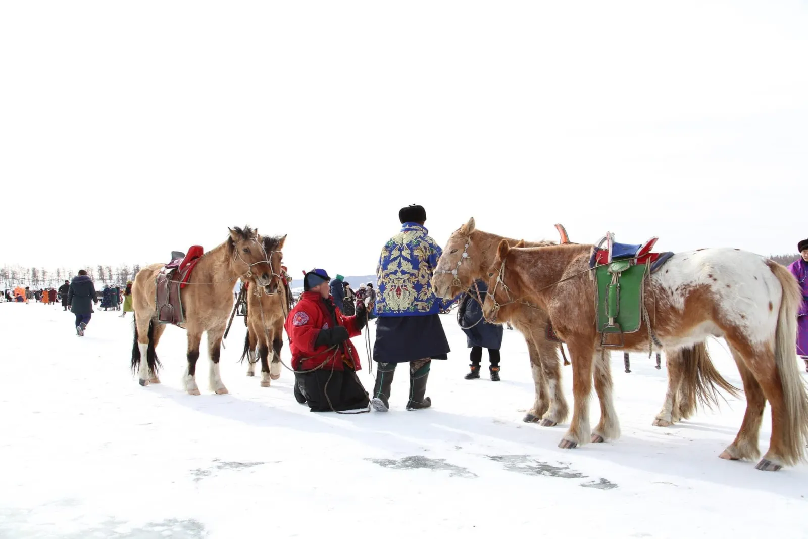 Winter Tour - Frozen Mongolia 8