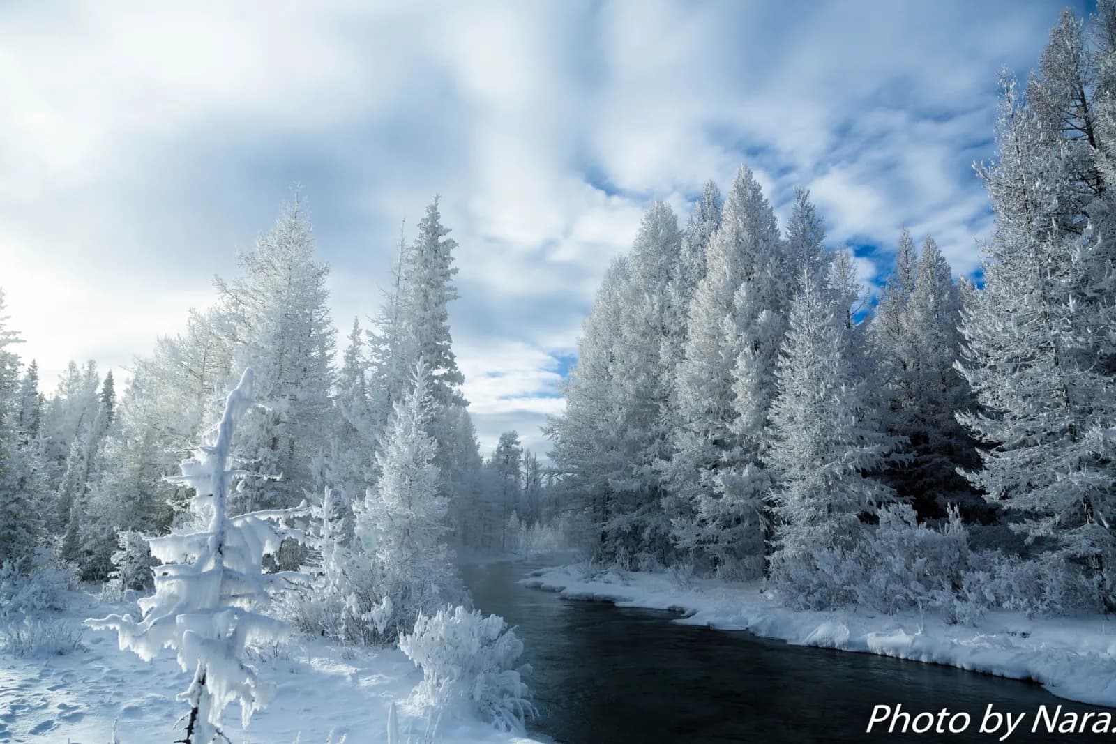 Winter Tour - Frozen Mongolia 15