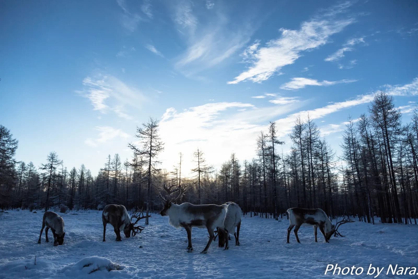Winter Tour - Frozen Mongolia 17