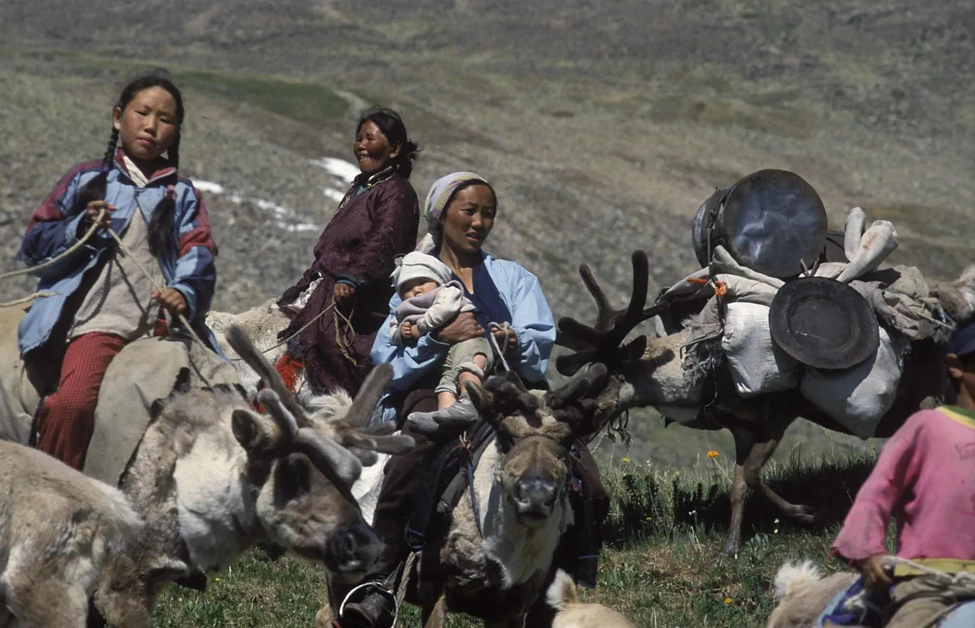 Reindeer Herders of the Taiga gallery 38