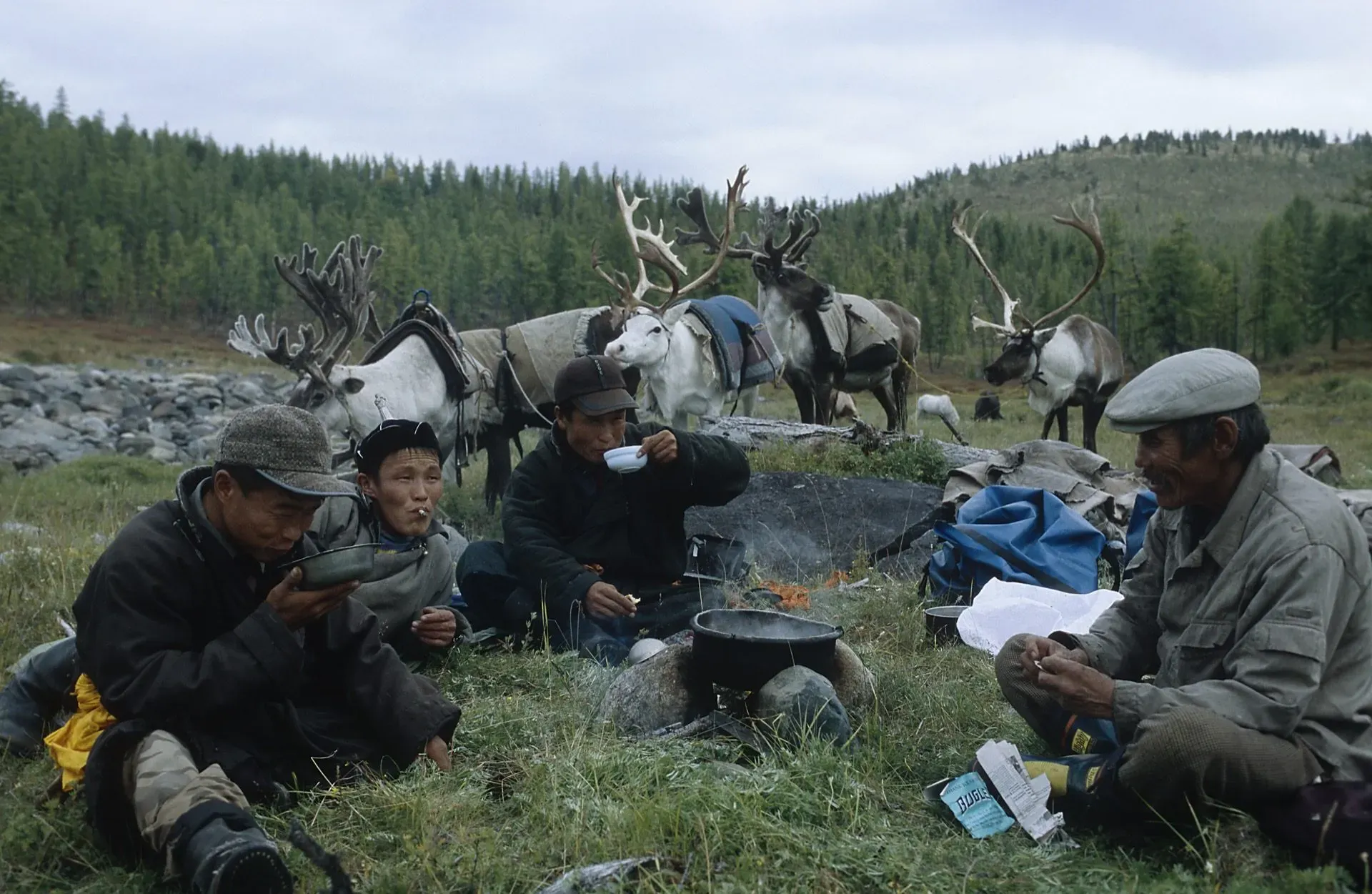 Reindeer Herders of the Taiga gallery 36