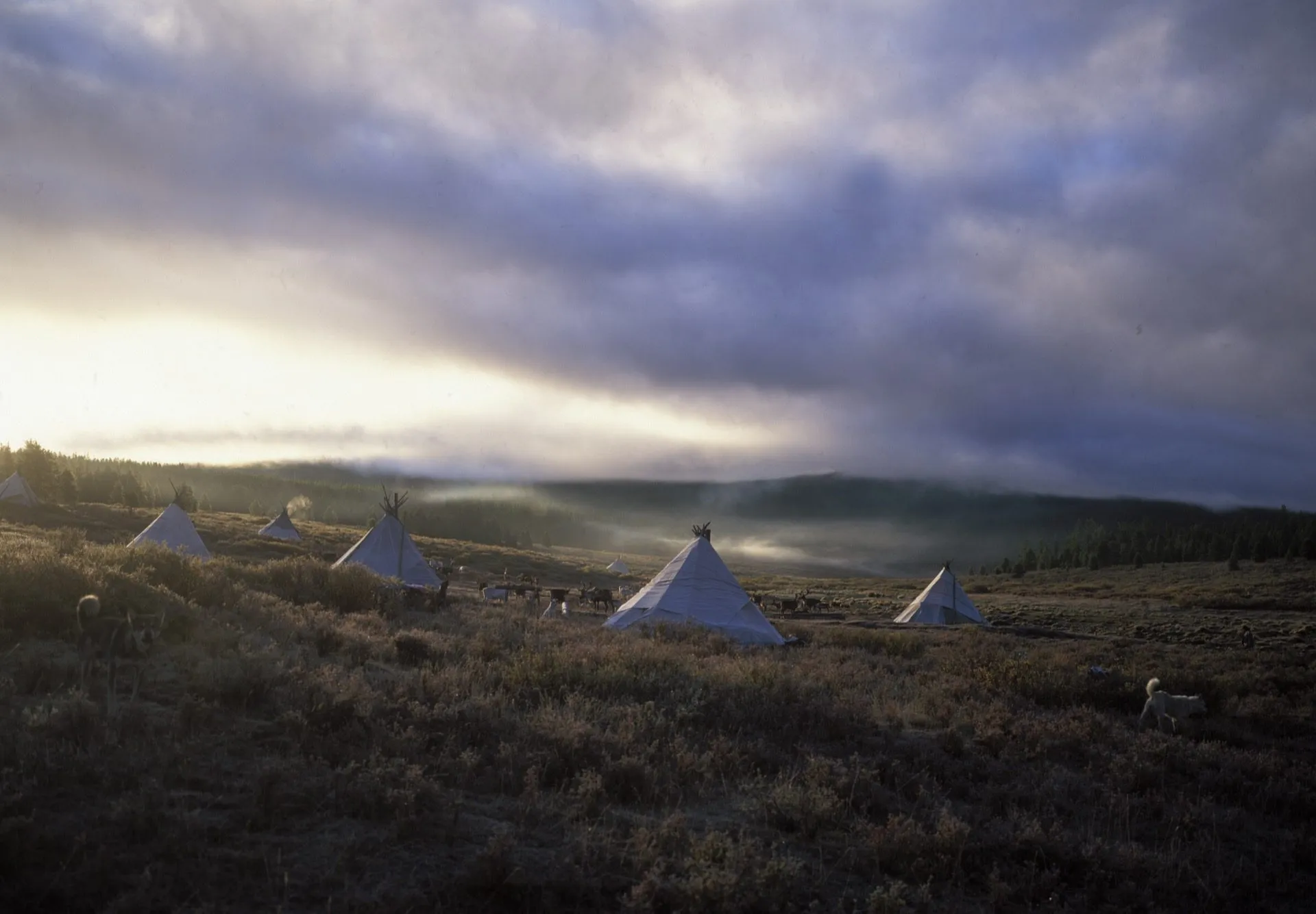 Reindeer Herders of the Taiga