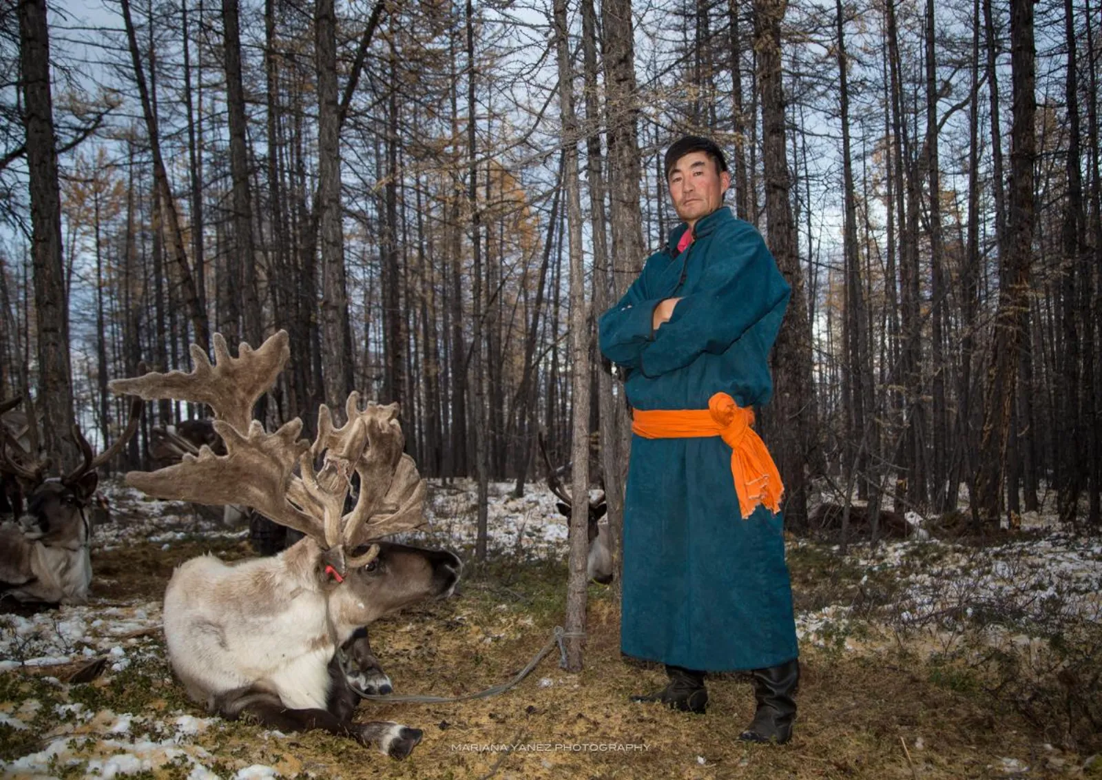 Reindeer Herders of the Taiga gallery 1