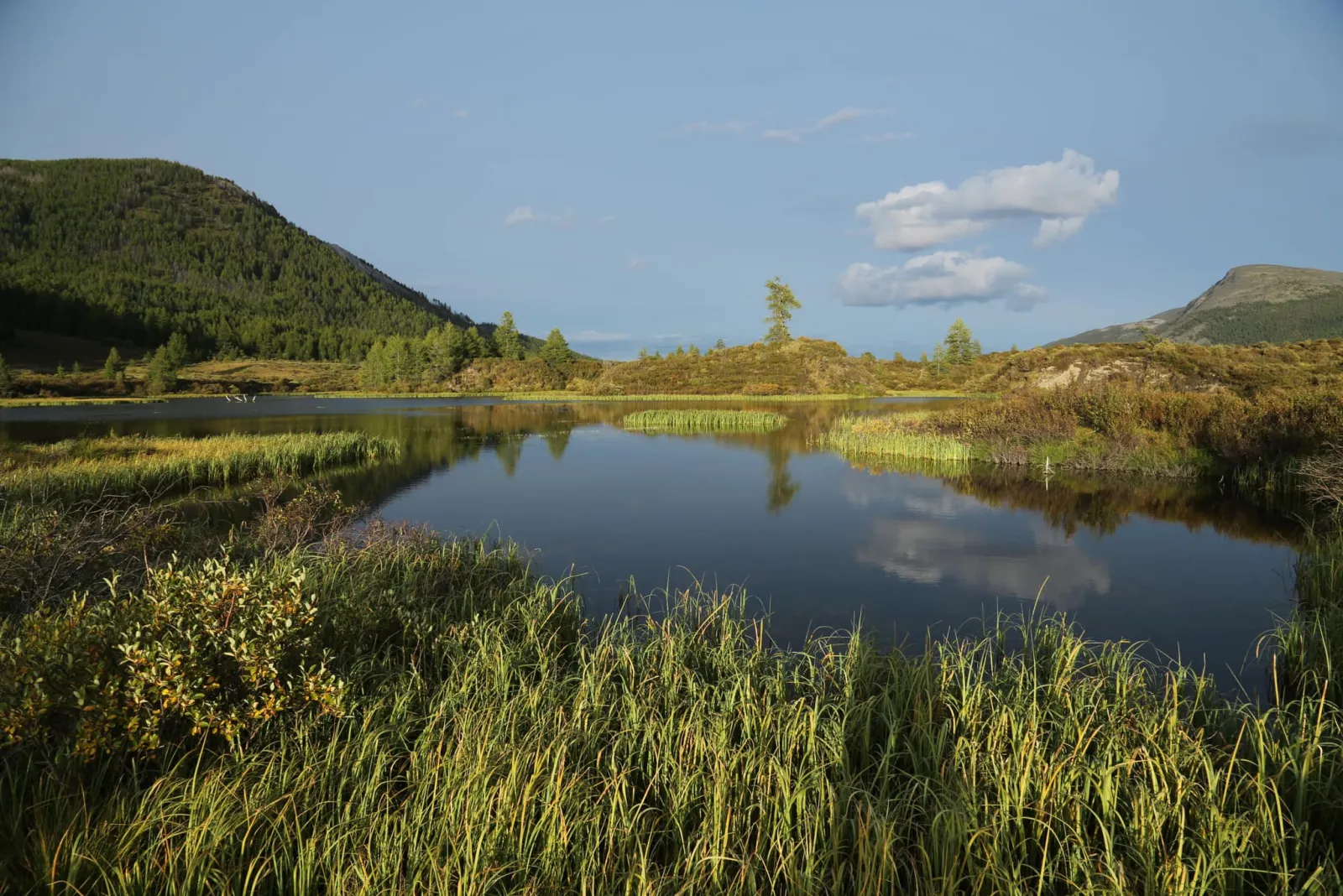 Reindeer Herders of the Taiga gallery 3