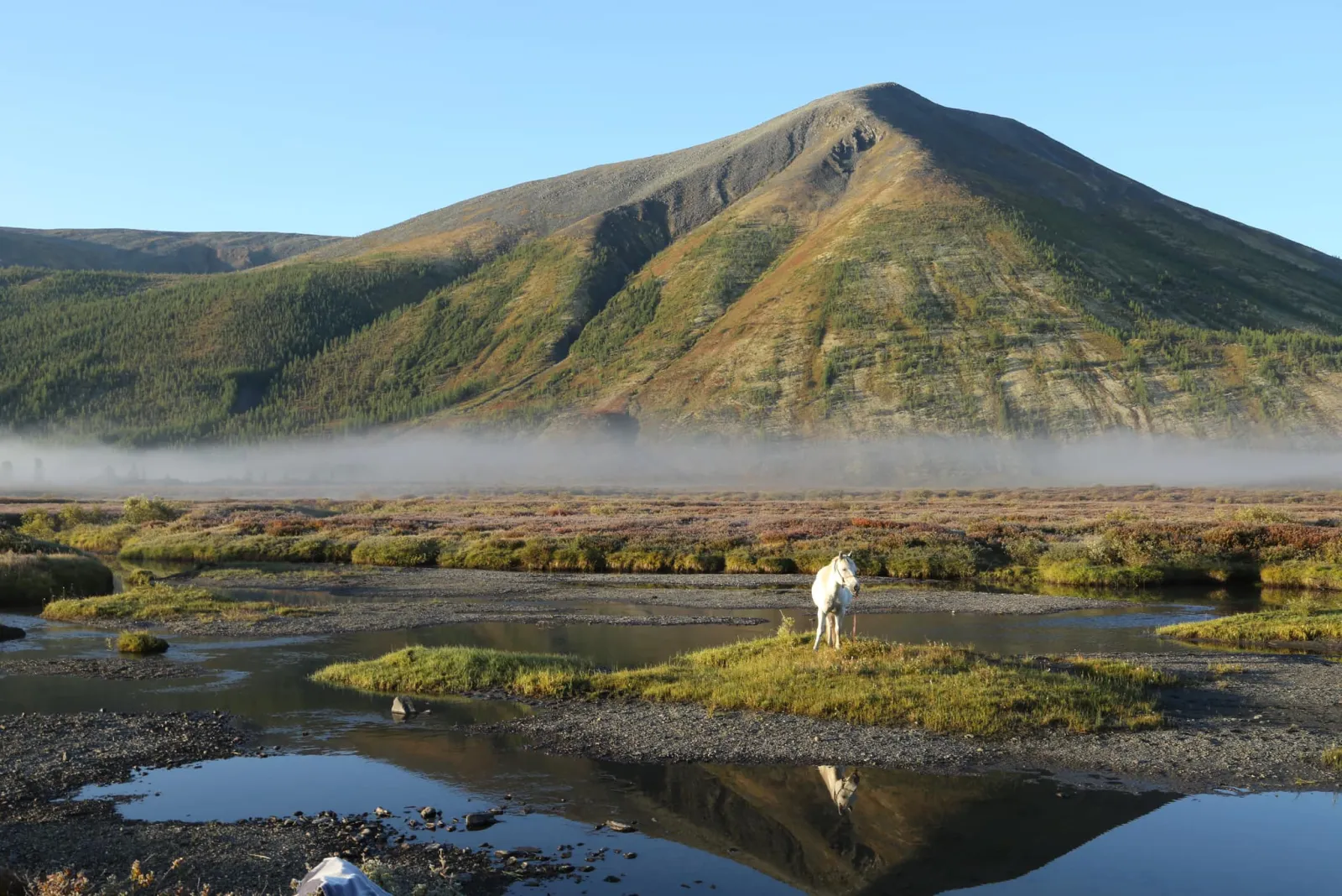 Reindeer Herders of the Taiga gallery 10