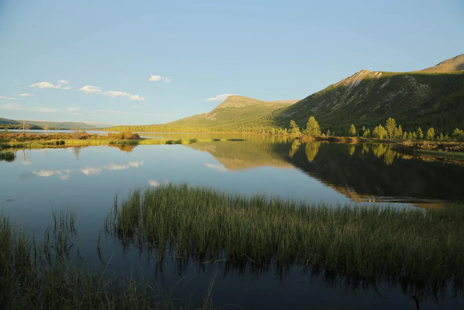 Reindeer Herders of the Taiga gallery 11