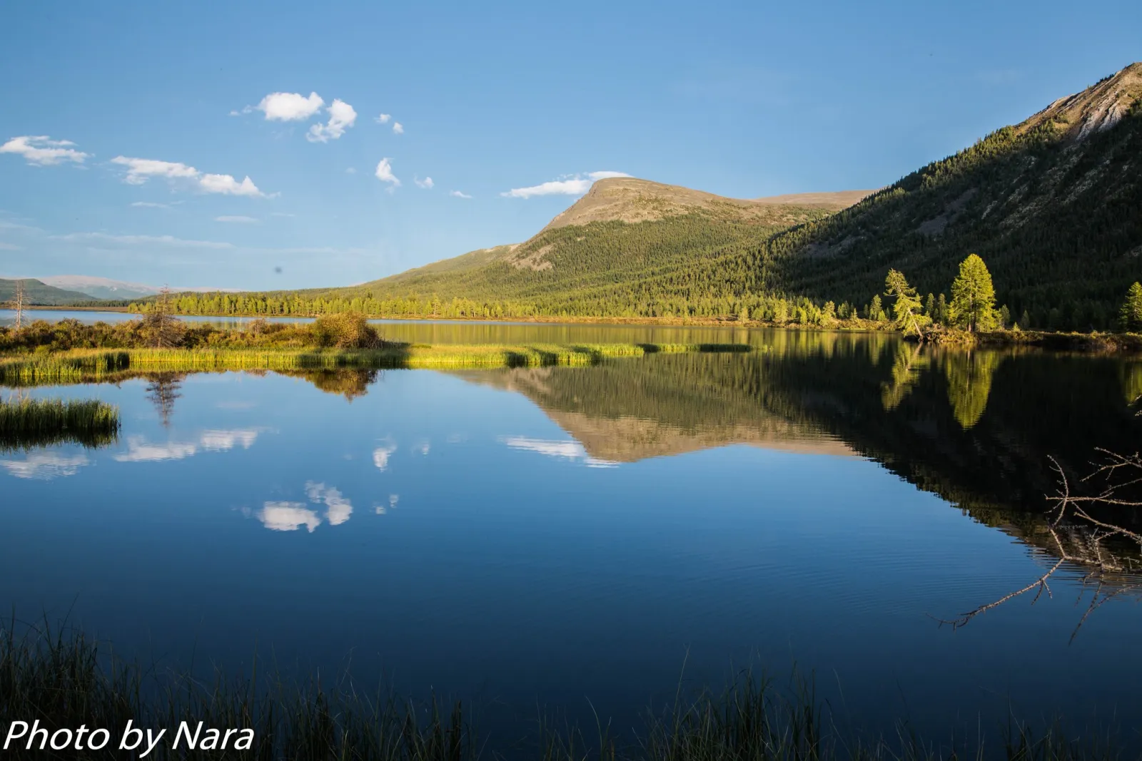 Reindeer Herders of the Taiga gallery 14