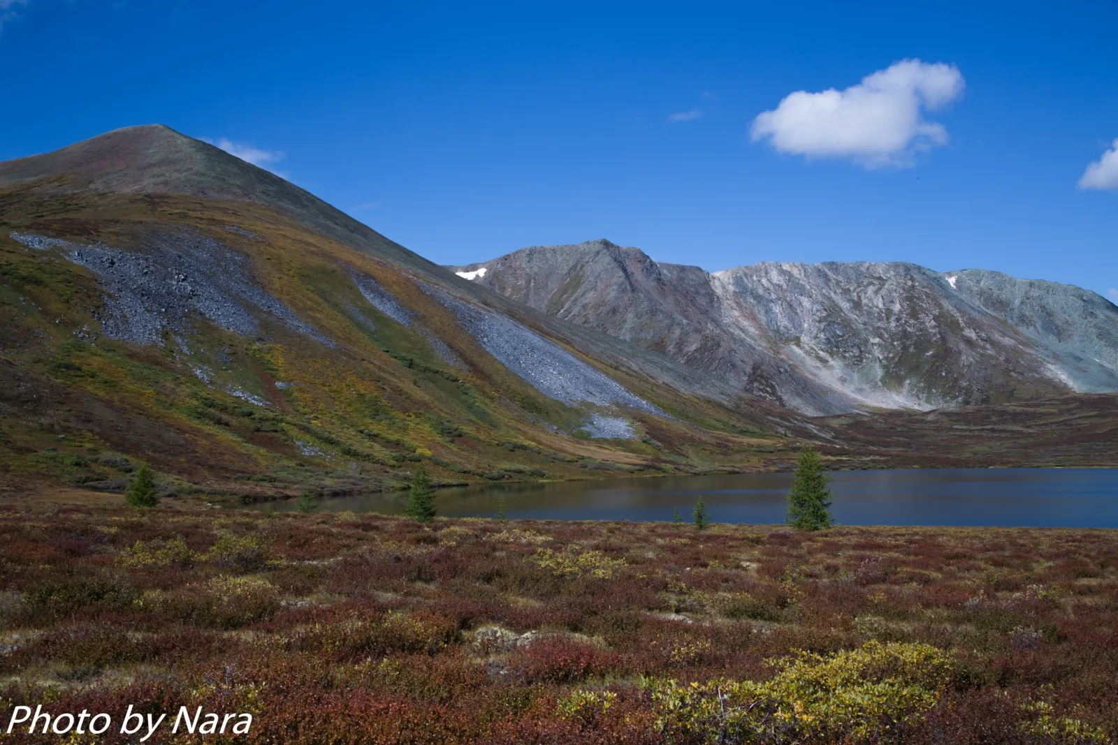 Reindeer Herders of the Taiga gallery 18