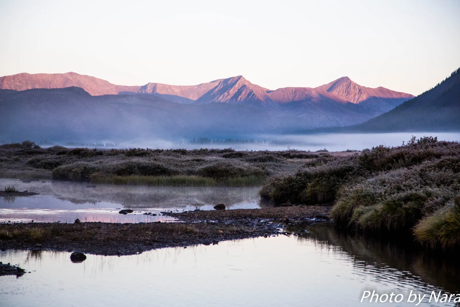 Reindeer Herders of the Taiga gallery 23