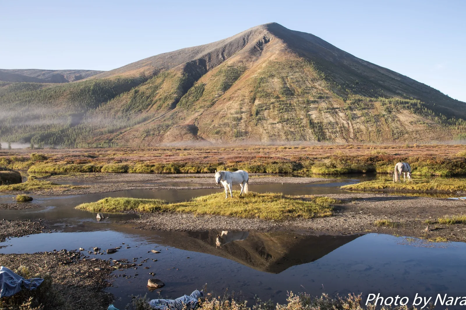 Reindeer Herders of the Taiga gallery 26