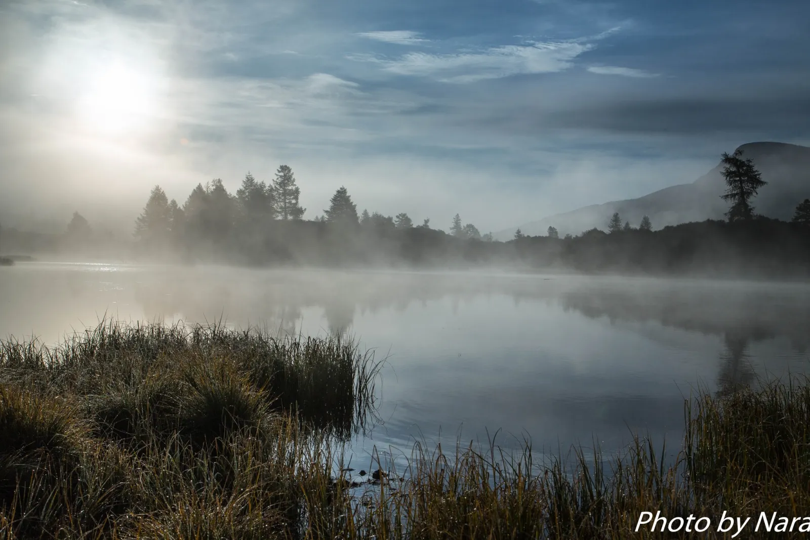 Reindeer Herders of the Taiga gallery 28