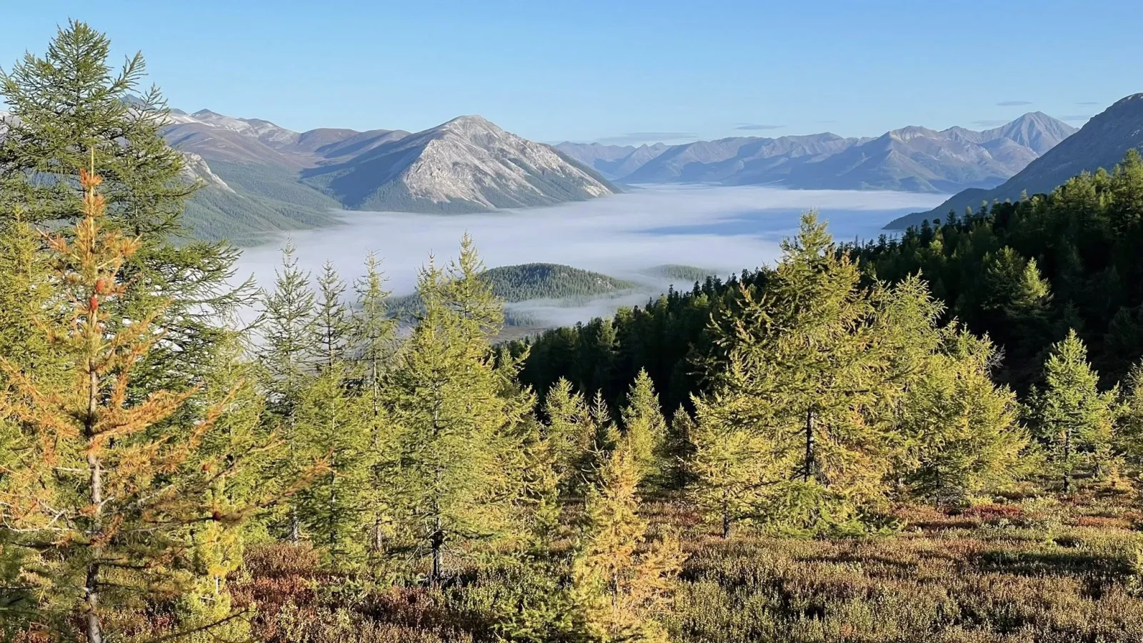 Reindeer Herders of the Taiga gallery 31